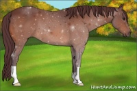 Horse Color:Chocolate Brown 