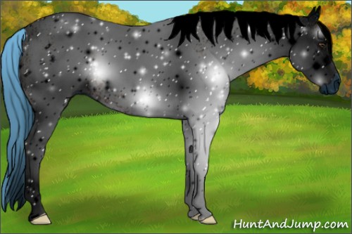 Horse Color:ERROR: UNKNOWN ANOMALY