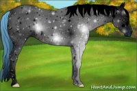 Horse Color:ERROR: UNKNOWN ANOMALY