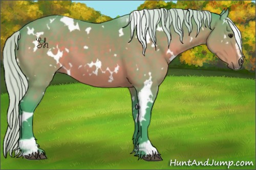 Horse Color:Watercolor White Spotted Silver Bay Sabino 