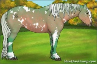 Horse Color:Watercolor White Spotted Silver Bay Sabino 