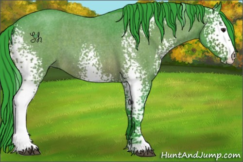 Horse Color:Watercolor White Spotted Bay Roan 