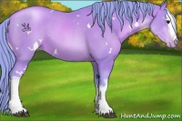 Horse Color:Watercolor White Spotted Black Pearl