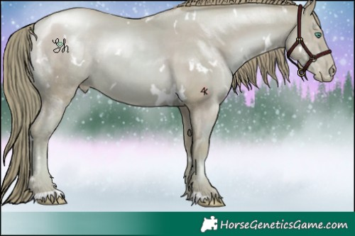 Horse Color:Watercolor White Spotted Smoky Black Pearl Rabicano 