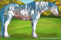 Horse Color:Watercolor White Spotted Brown 