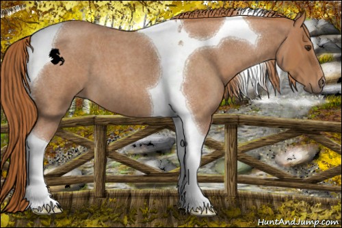 Horse Color:Red Roan Tobiano 