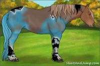 Horse Color:Chestnut Tobiano 