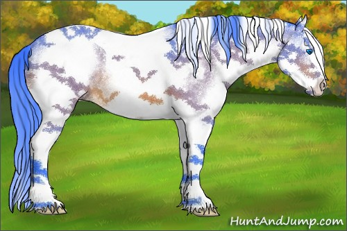 Horse Color:Watercolor White Spotted Bay Splash Tobiano 