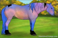 Horse Color:Watercolor Brown Sabino Tobiano 