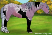 Horse Color:Watercolor Bay Tobiano 