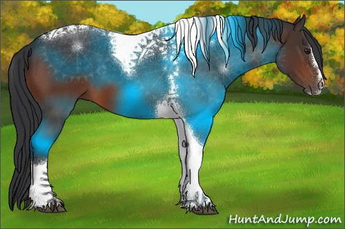 Horse Color:Brown Sabino Tobiano 