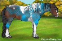 Horse Color:Brown Sabino Tobiano 