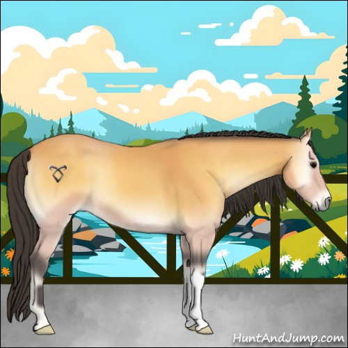 Horse Color:Buckskin Onyx 