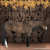 Horse Color:Brown Ice Dun 