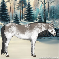 Horse Color:White Spotted Grullo Ice Rabicano 