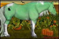 Horse Color:Watercolor Silver Black Tobiano 