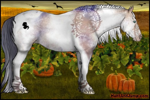 Horse Color:White Spotted Amber Champagne Tobiano