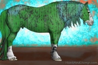 Horse Color:Black  and Watercolor Black Splash 