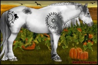 Horse Color:White Spotted Black Splash Tobiano Frame Appaloosa 