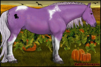 Horse Color:Watercolor Silver Black Tobiano 