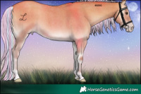 Horse Color:Painted Silver Amber Champagne Roan Onyx 