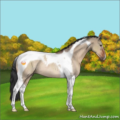 Horse Color:Brown Dun Tobiano Rabicano