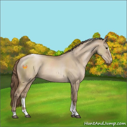 Horse Color:Grullo Pearl Sabino Tobiano 