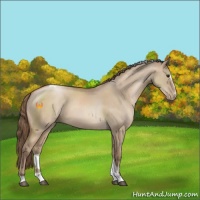 Horse Color:Grullo Pearl Sabino Tobiano 