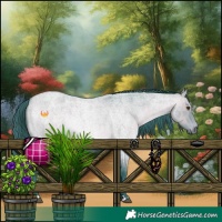 Horse Color:Watercolor Bay Roan Dun Rabicano 