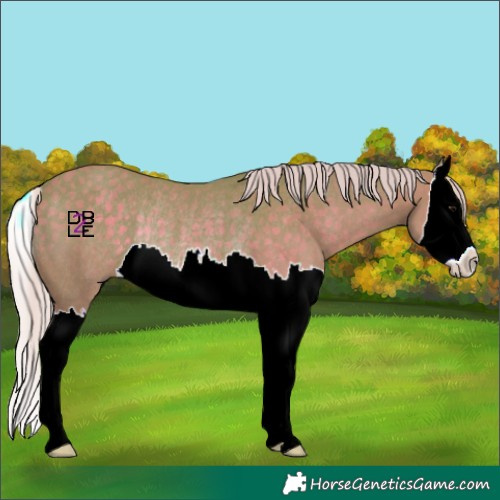 Horse Color:Watercolor Silver Black Splash Rabicano 