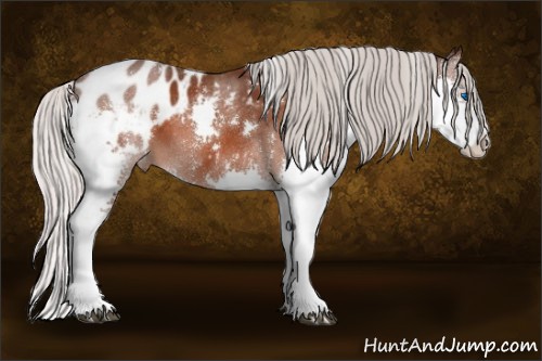 Horse Color:White Spotted Silver Brown Splash Appaloosa 