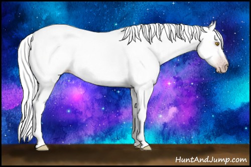 Horse Color:Gray Amber Champagne Splash 