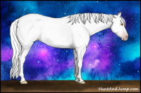 Horse Color:Gray Amber Champagne Splash 