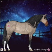 Horse Color:Brown Dun Rabicano 