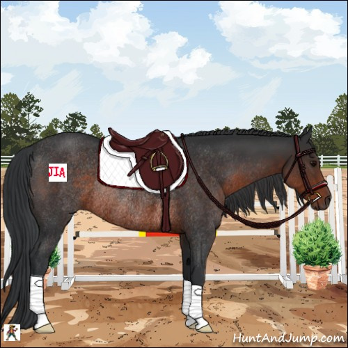 Horse Color:Brown Rabicano 