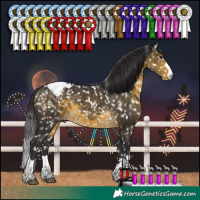 Horse Color:Buckskin Snowcap