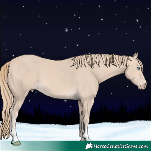 Horse Color:Perlino 