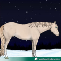 Horse Color:Perlino 