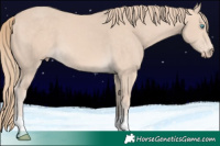 Horse Color:Perlino