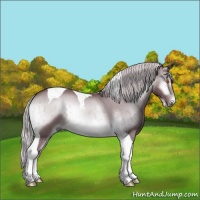 Horse Color:Chocolate Silver Brown Chinchilla Onyx Tobiano Brindle 