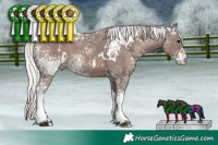 Horse Color:White Spotted Silver Black Ice