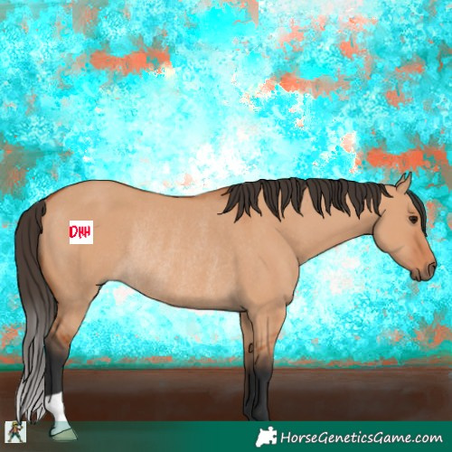 Horse Color:Bay Dun Rabicano 