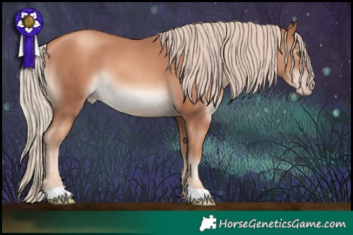 Horse Color:Gold Champagne 