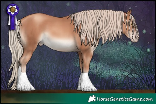 Horse Color:Gold Champagne 