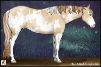 Horse Color:White Spotted Smoky Black Pearl Sabino