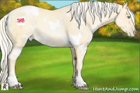 Horse Color:White Spotted Palomino Pearl 