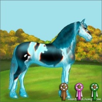 Horse Color:Thunderstruck Blue Onyx Ice Tobiano Frame 