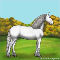 Horse Color:Chocolate Silver Bay Chinchilla Onyx 