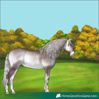 Horse Color:Chocolate Silver Bay Chinchilla Onyx 