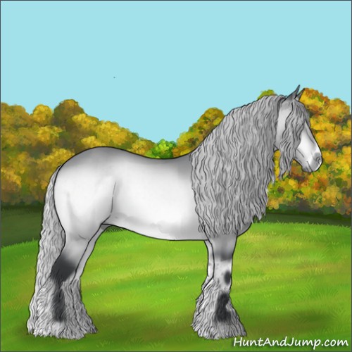 Horse Color:Silver Bay Chinchilla Onyx Brindle